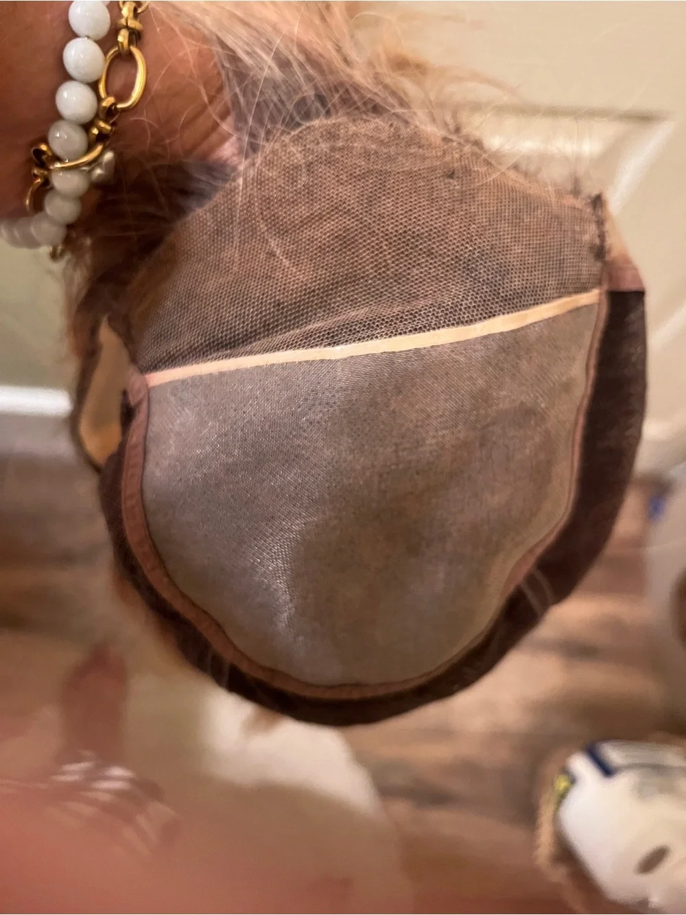 Human Hair Wig